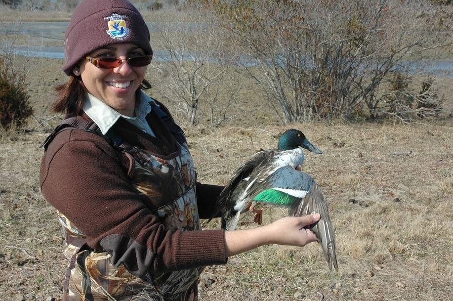 Biologist Banding a Northern Shoveler by Kevin Holcomb/U. S. Fish and Wildlife Service - Northeast Region is marked with Public Domain Mark 1.0.